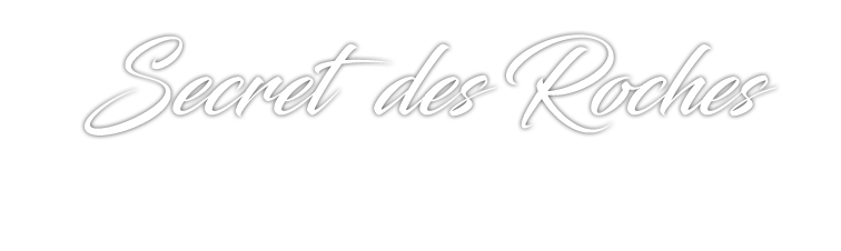 Secret des Roches - Vin Blaye Côtes de Bordeaux